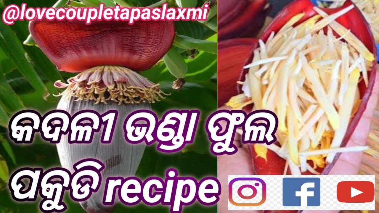 କଦଳୀ ଭଣ୍ଡା  ଫୁଲ ରେ ପକୁଡି recipe //