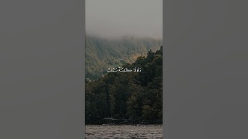 سورة يونس 19 | عبدالرحمن مسعد [قراءة 2020]