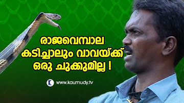 What if King Cobra Attacks & Bites Vava Suresh ? | Kaumudy TV