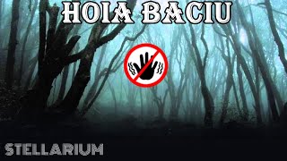 O Poarta Intre Lumi - Padurea Hoia-Baciu (fenomene de neexplicat)