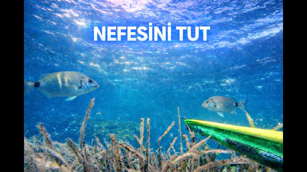 Задержи дыхание