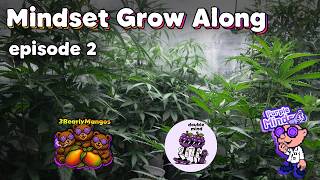 How TO FEED AUTOS in flower! Mindset Community Grow Along EP2 #rainpoint
