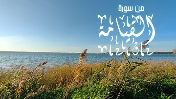 Mahmoud Hegazy l محمود حجازي من سورة القيامة
