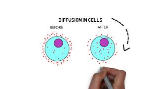 Cell Membrane The Gatekeeper of the Cell