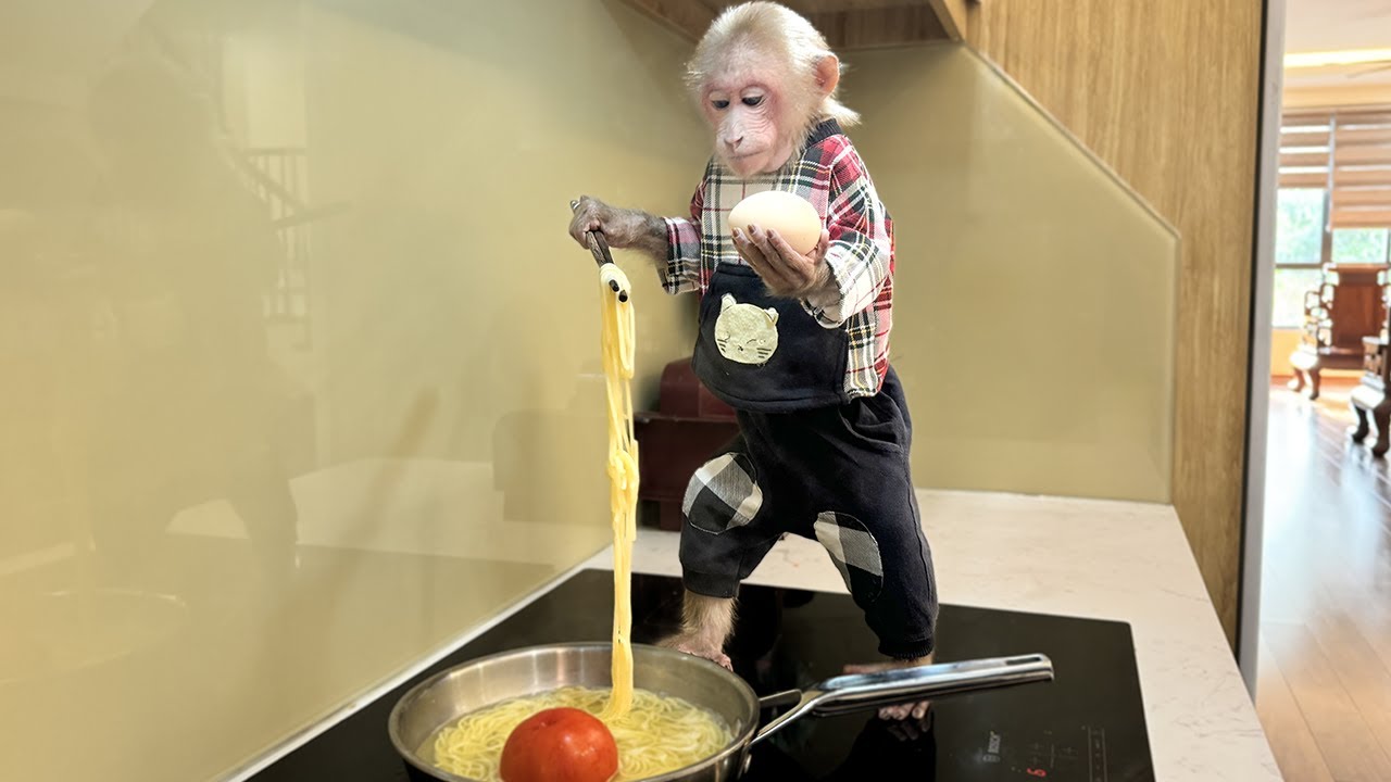 Smart Bibi goes into the kitchen to cook favorite egg noodles!