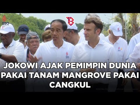 Diajak Jokowi tanam mangrove pakai cangkul, reaksi bingung para pemimpin dunia ini curi antensi | NE