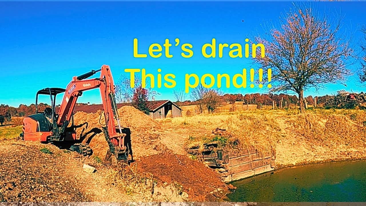 CAN I GET DEEP ENOUGH?? Let’s drain this pond!! 