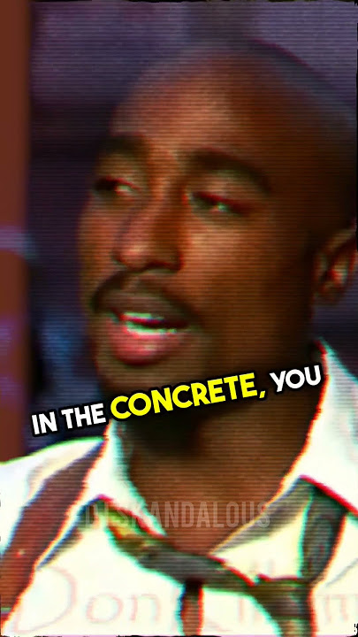 2Pac Speaks On The Rose That Grew From Concrete 🌹  #2pac #tupac #inspiration #90shiphop