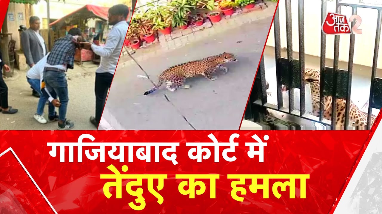 AAJTAK 2 LIVE । GHAZIABAD । COURT परिसर में घुसा तेंदुए, फिर क्या हुआ