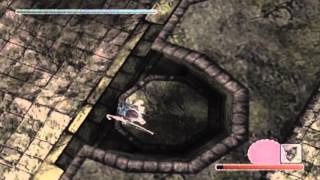 Shadow of the Colossus Part 6: The Constant