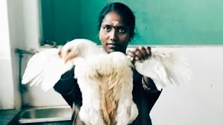Women slaughter chicken for customers 🐔🐔
