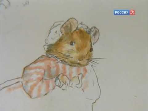 Balerinalar mushuklarining yaqindan suratlari