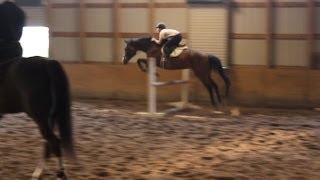 'Raws' Jumping Lesson 2'6-3ft