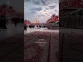 بفرس برا یار امام حسینیت امام حسین کربلا نجف بین الحرمين عشق یاحسین یارضا امام رضا حسینیه