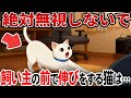 【無視するとヤバい】猫が飼い主の前で伸びをする理由【猫雑学】