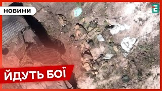 ❗️ Мечтают о серой зоне 👉 Военные РФ пытаются прорвать оборону