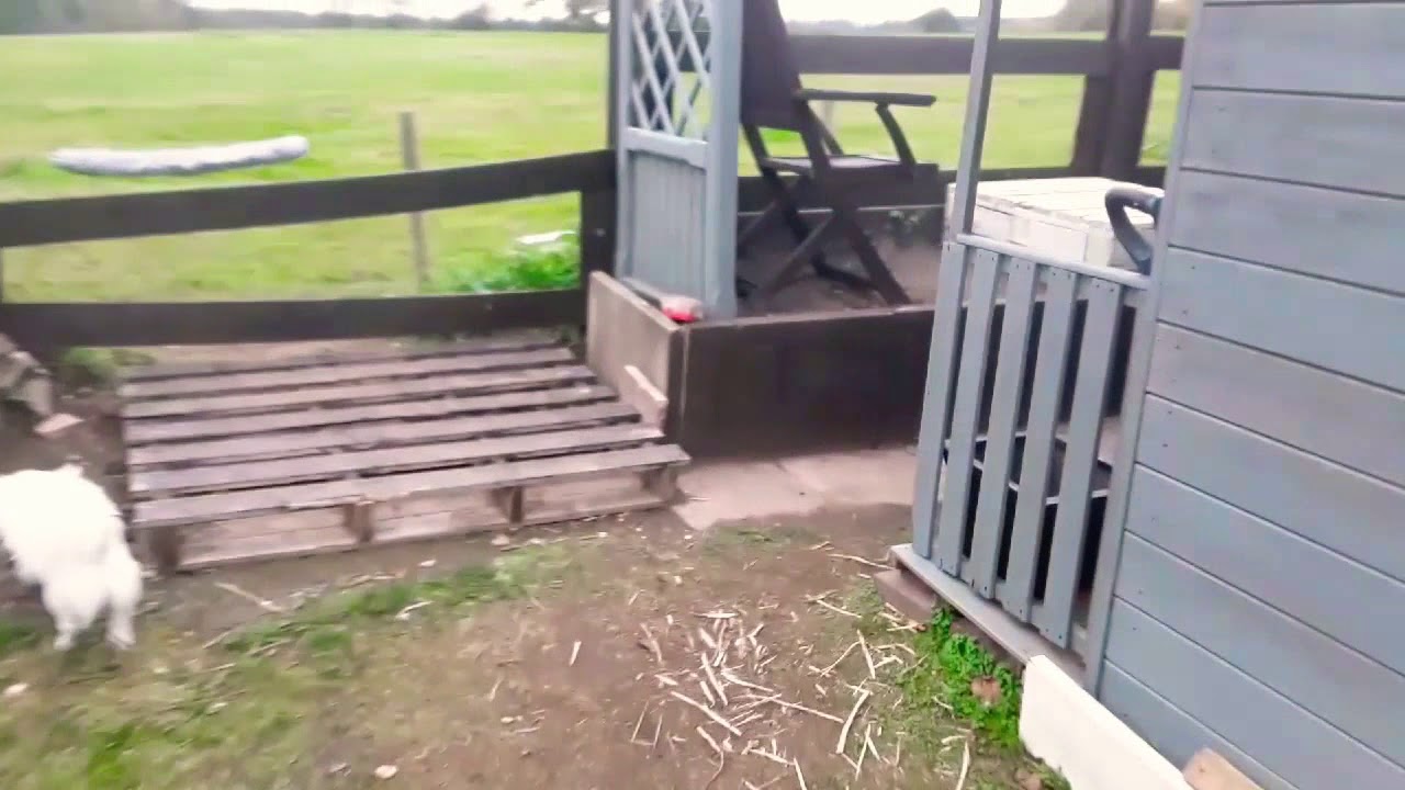 High Life UK Pyramid Super Hash Grow Update 21 ❤