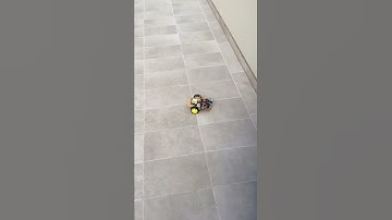 Model Car for Capstone Project