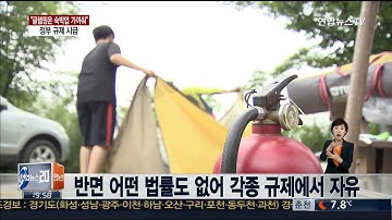 글램핑 무늬만