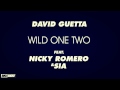 INSTRUMENTAL David Guetta Wild One Two Ft Nicky Romero Sia 