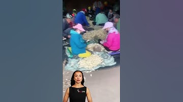 #fcnfm Maximize Yield and Quality with State-of-the-Art Drying Technology