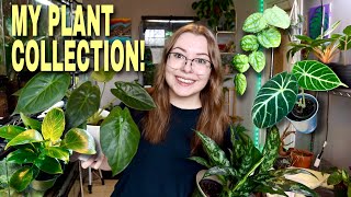 ALL OF MY HOUSE PLANTS! | Plant Collection Tour!