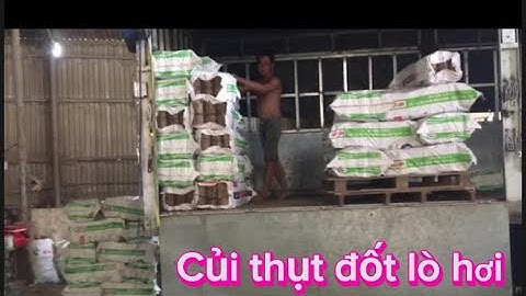 Tuyến vũ chuyên cung cấp củi thụt đốt lò hơi ❤️