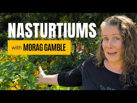 The Edible Living Mulch That Makes Gardening Easier. Nasturtiums with Morag Gamble