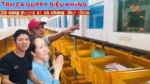 Tham quan Trại Cá Guppy siêu Víp của Nàng dược sĩ Chàng thợ điện - Thái Salem vê lốc
