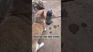 Choose One Emoji Only 