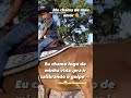 #cavalos #vaquejada #desmantelo #vaqueirinho #depaiprafilho #muido #piseiro #vaquejadaemeuesporte
