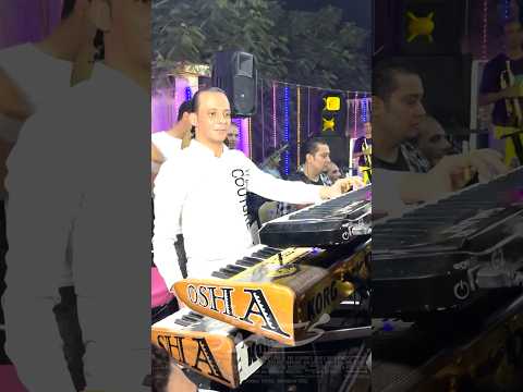 مولد الذكر  قصدت بابك اوشا مصر 