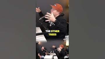 Trees TALK to each other #tree #nature #science #naturefacts #funfacts #podcast