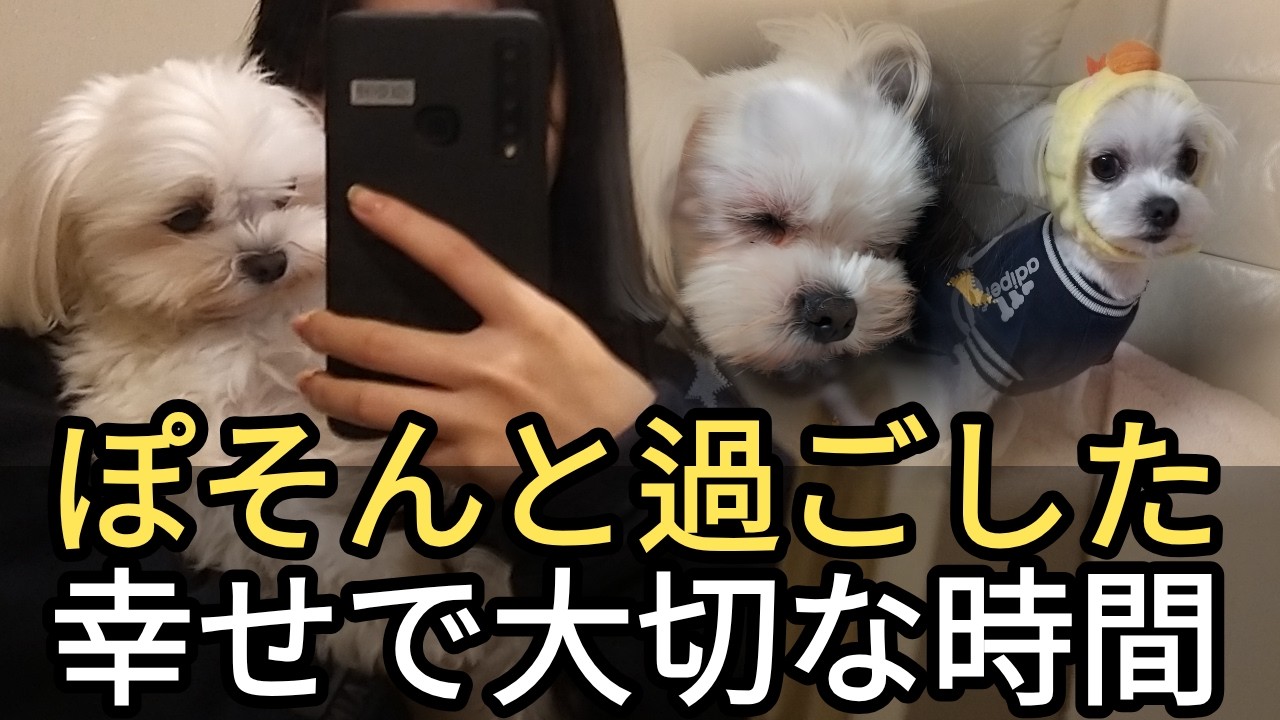 ぽそんとの365日、変わらない幸せ