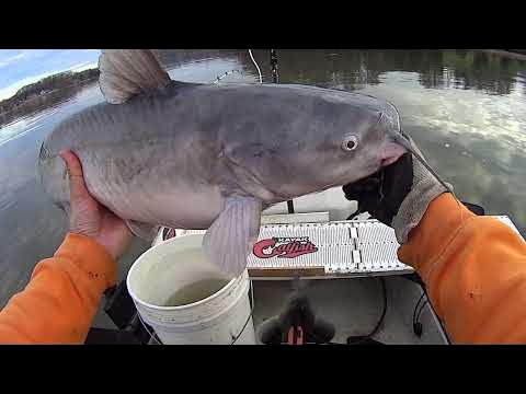 EASY Technique to Catch Catfish from a Kayak 