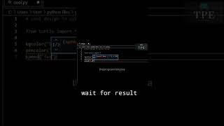 Can you really make this cool animation in python turtle✨✨....