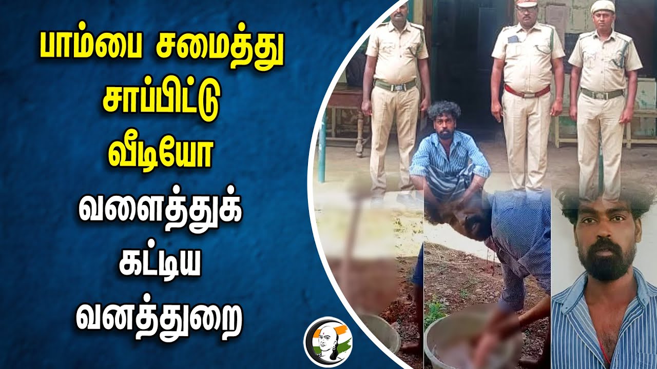பாம்பை சமைத்து சாப்பிட்டு வீடியோ... வளைத்துக் கட்டிய Forest Department | Viral Video | Tirupathur