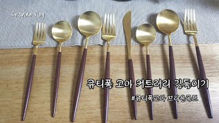 Vlog 큐티폴 고아 브라운골드 길들이기