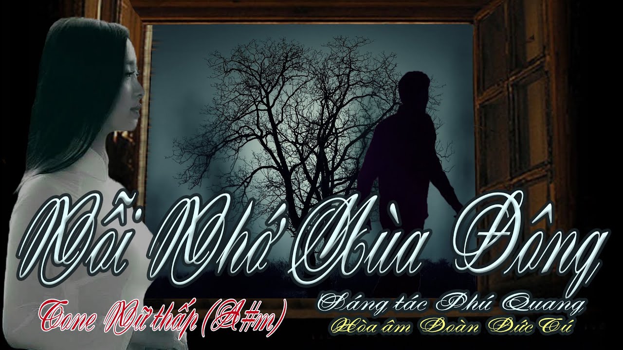 karaoke Nỗi Nhớ Mùa Đông, sáng tác Phú Quang, hòa âm Đoàn Đức Tú, giọng Nữ thấp