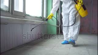 Imported Furniture A Termites Dream Protect Your Investment With Span Shield  coldplay