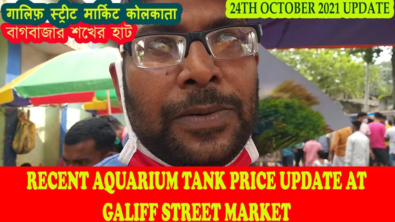 RECENT AQUARIUM TANK PRICE AT GALIFF STREET AQUARIUM FISH MARKET