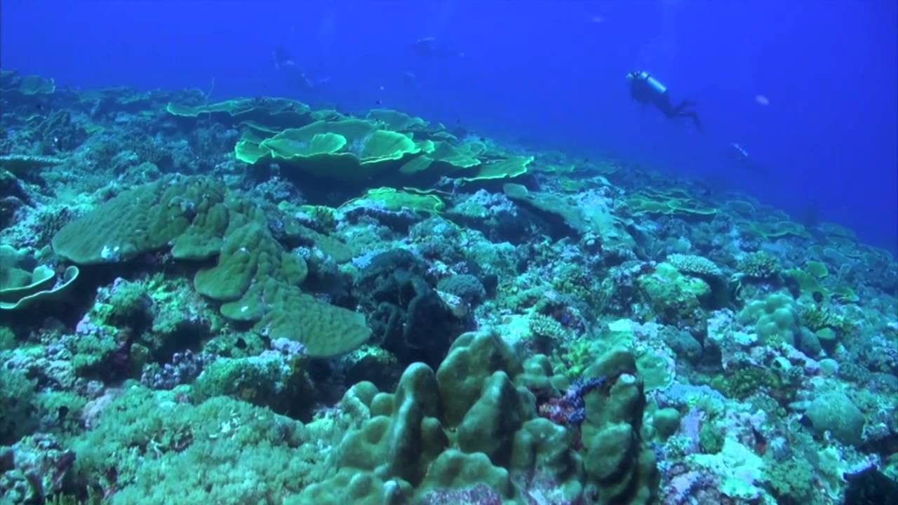 Video der Gruppenreise Palau 2013 (Teil 2)