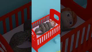 Florida Toddler Found in Python's Grip – Real Story #shorts #shortsvideos #realstory #florida Profile