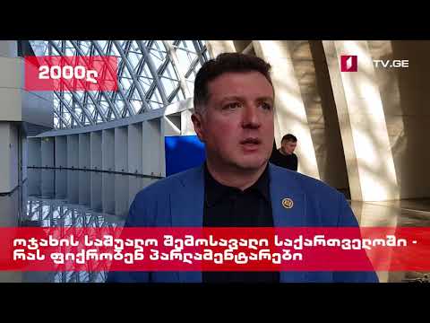 საარსებო თანხა საქართველოში - რას ფიქრობენ პარლამენტარები [ვიდეო]