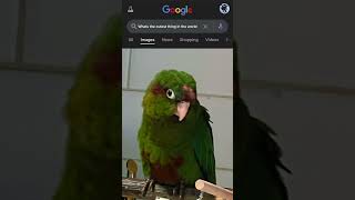 #birdlife