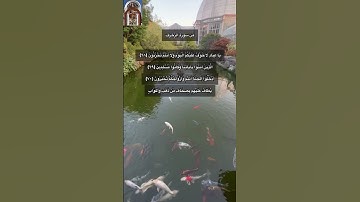 من سورة الزخرف/ فارس عباد / ارح سمعك وبصرك ما اجمل ألوان الأسماك سبحان الخالق