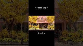 🌸Soft & Chill Spring Cafe Music – Easy Relaxing Playlist #mellowmusic #indiepop