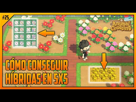 Vídeo: Animal Crossing Flowers: Híbridos, Cruces Y Combinaciones De Colores En New Horizons Explicados