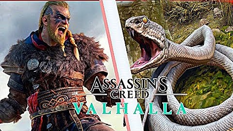 Ragnar vs Venomous Snakes - ASSASSIN