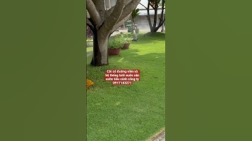 Cắt cỏ đường viền và hệ thống tưới nước sân vườn tiểu cảnh công ty  0917182171